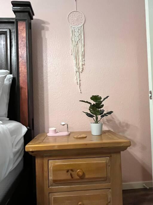 Healing Haven King Bed Suite 댈러스 외부 사진